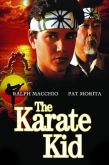 KARATE KID  (1, 2, 3, 4)