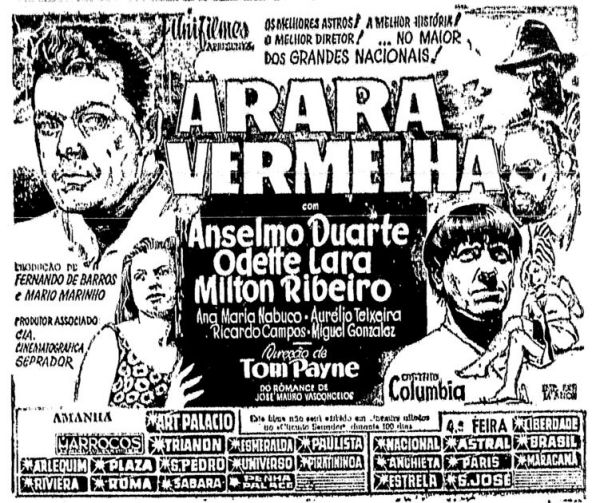 ARARA VERMELHA