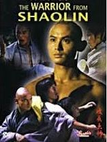 O GUERREIRO DE SHAOLIN