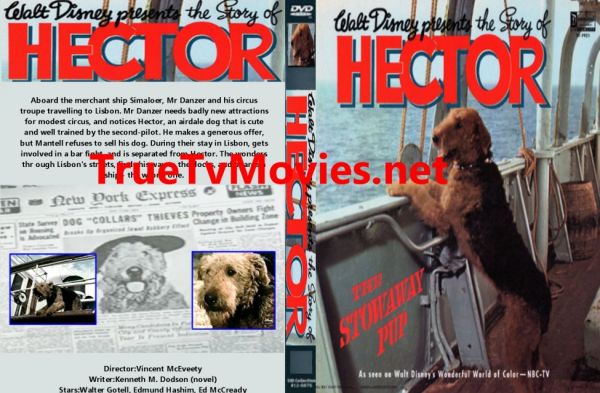 The Ballad of Hector the Stowaway Dog - 1964