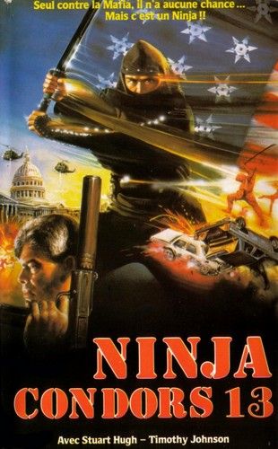 NINJA CONDOR 13