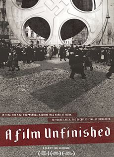 UM FILME INACABADO (A Film Unfinished)